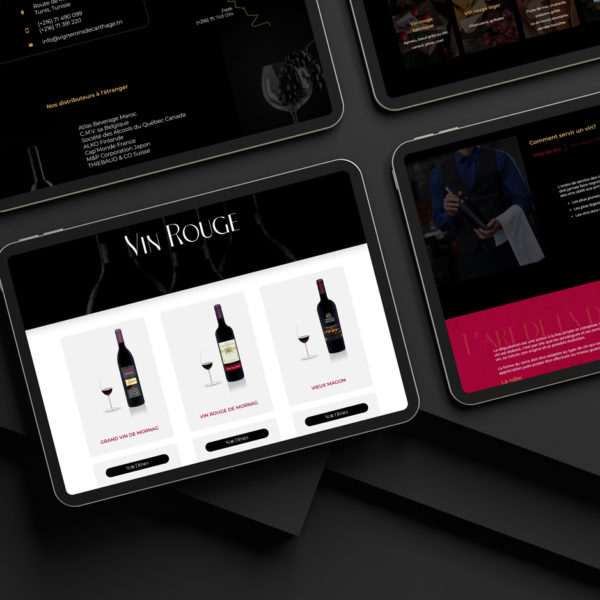 portfolio lezartsdigital design site web les vignerons de carthage